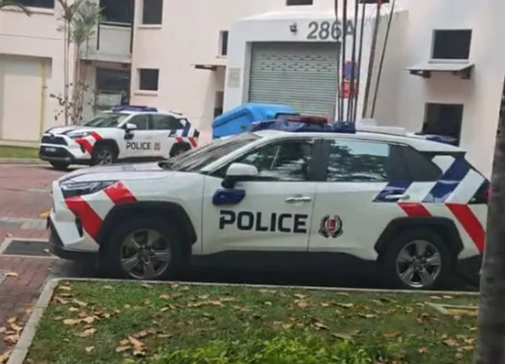 Toh Guan Suicide, Death - 61-Year-Old Woman Found Dead After Falling From Height At Jurong East